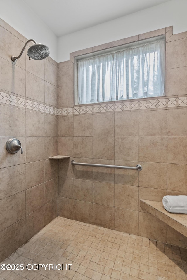 1103 Inlet Woods Dr, Kenai, AK 99611 - full bathroom featuring a tile shower and healthy amount of natural light
