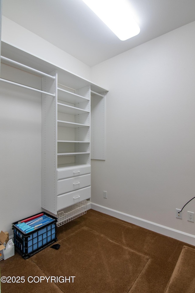1103 Inlet Woods Dr, Kenai, AK 99611 - spacious closet with carpet flooring