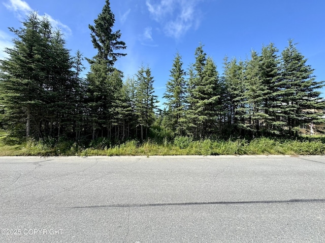 1103 Inlet Woods Dr, Kenai, AK 99611 - photo 44