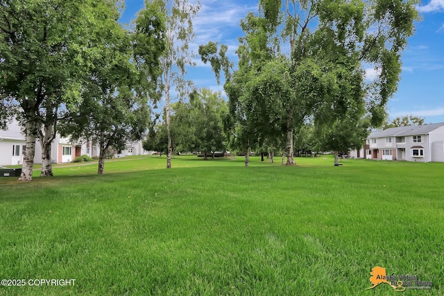 3265 Montclair Ct # 17E, Anchorage, AK 99503 - view of green lawn