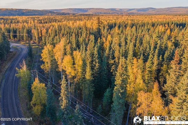 LOT45 Maude Boyle Dr, North Pole, AK 99705
