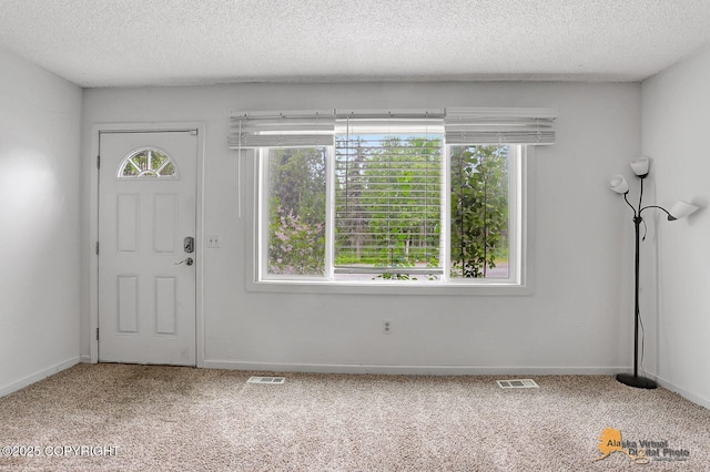 791 N Yakima St, Wasilla, AK 99654 - carpeted foyer entrance featuring a textured ceiling