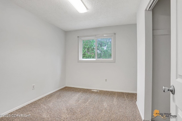 791 N Yakima St, Wasilla, AK 99654 - carpeted empty room featuring a textured ceiling and baseboards