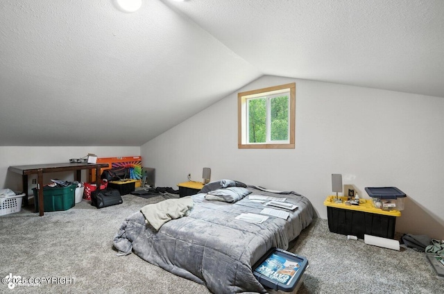 451 N Southway St, Wasilla, AK 99654 - photo 29
