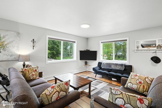 451 N Southway St, Wasilla, AK 99654 - photo 7