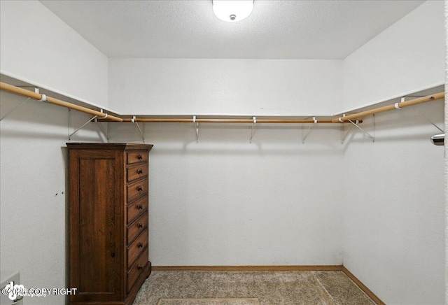46640 Jo Ave, Kenai, AK 99611 - spacious closet featuring light carpet