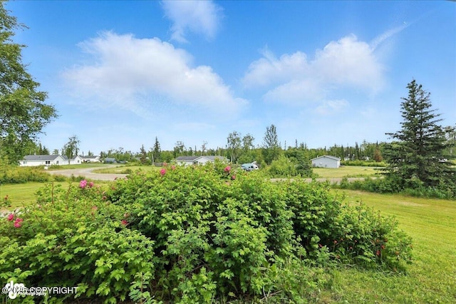 46640 Jo Ave, Kenai, AK 99611 - view of property's community