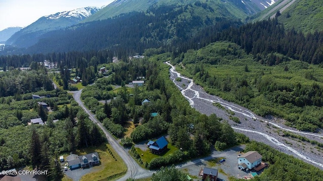 2415 Afognak Ave, Seward, AK 99664 - view of property location with a forest and a mountainous background