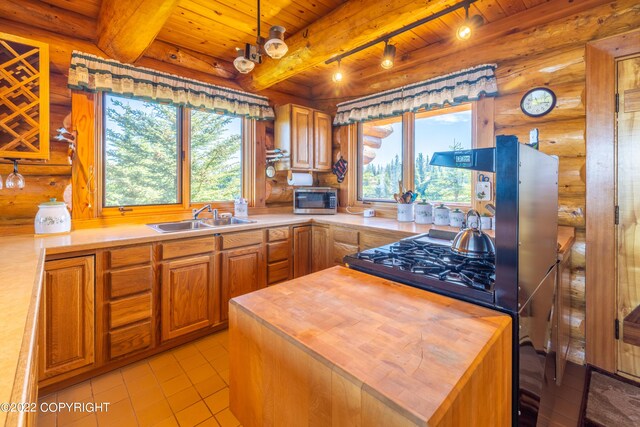 68530 Ridgefield Ct, Ninilchik, AK 99639
