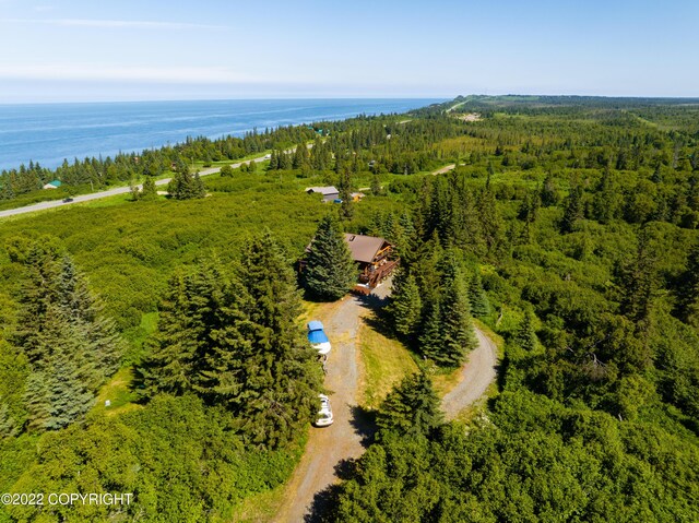 68530 Ridgefield Ct, Ninilchik, AK 99639