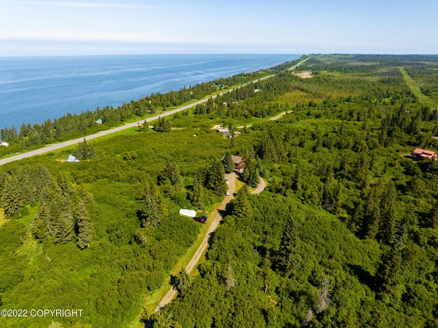 68530 Ridgefield Ct, Ninilchik, AK 99639