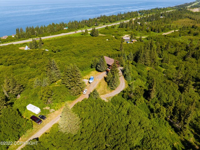 68530 Ridgefield Ct, Ninilchik, AK 99639