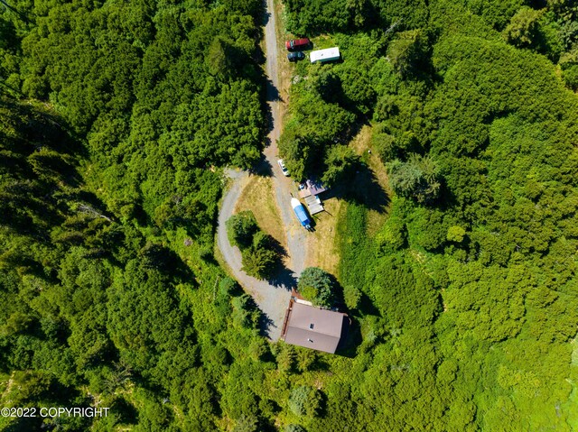 68530 Ridgefield Ct, Ninilchik, AK 99639