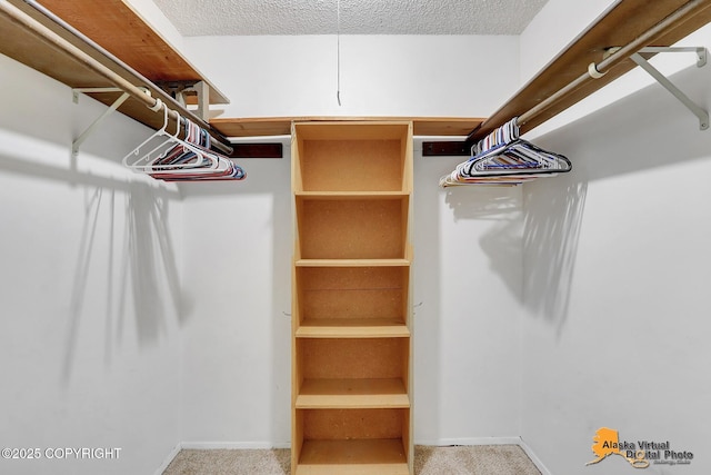 3958 Reka Dr Unit A-2, Anchorage, AK 99508 - spacious closet with carpet