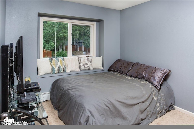 18644 Eaglewood Loop, Eagle River, AK 99577 - bedroom featuring baseboard heating and carpet flooring