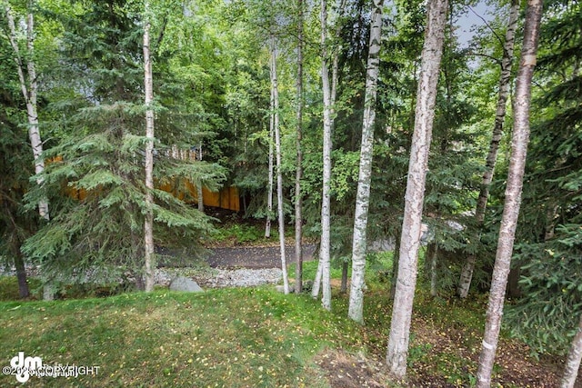 18644 Eaglewood Loop, Eagle River, AK 99577 - view of yard featuring a wooded view