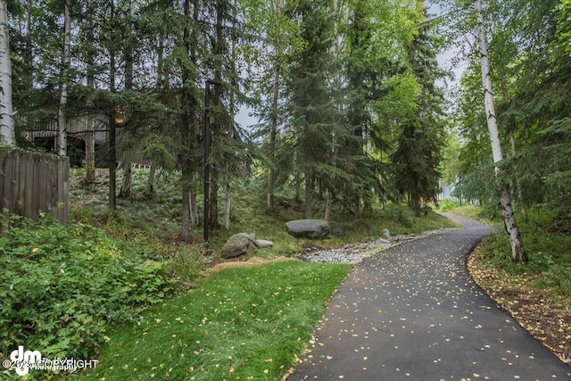 18644 Eaglewood Loop, Eagle River, AK 99577 - view of home's community