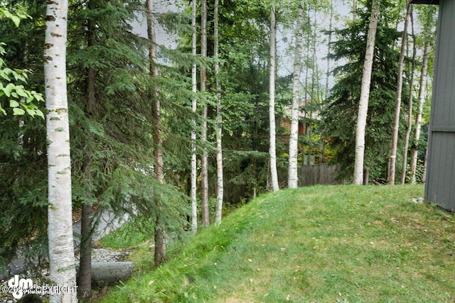 18644 Eaglewood Loop, Eagle River, AK 99577 - view of yard