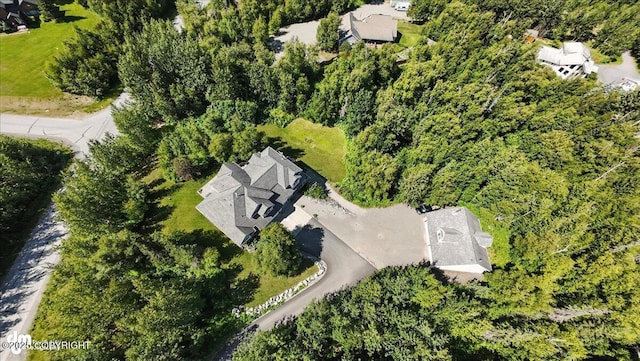 2436 N Hope Cir, Palmer, AK 99645 - drone / aerial view