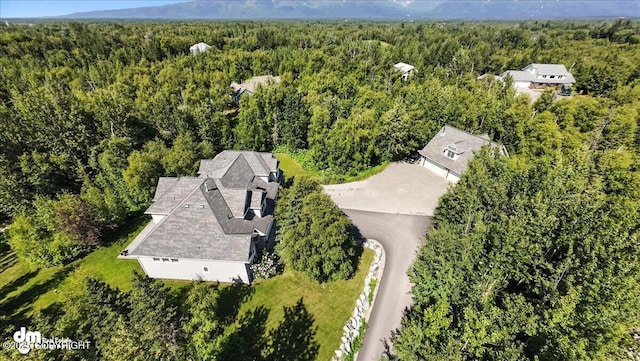 2436 N Hope Cir, Palmer, AK 99645 - aerial view of a forest