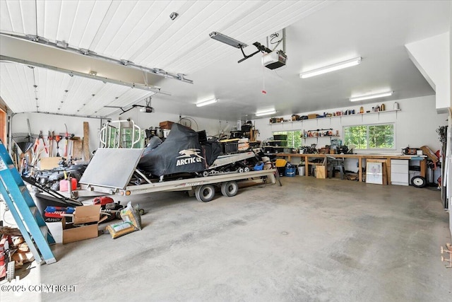 2436 N Hope Cir, Palmer, AK 99645 - garage with a garage door opener and a workshop area