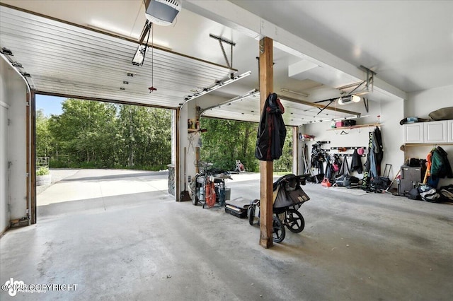 2436 N Hope Cir, Palmer, AK 99645 - garage with a garage door opener