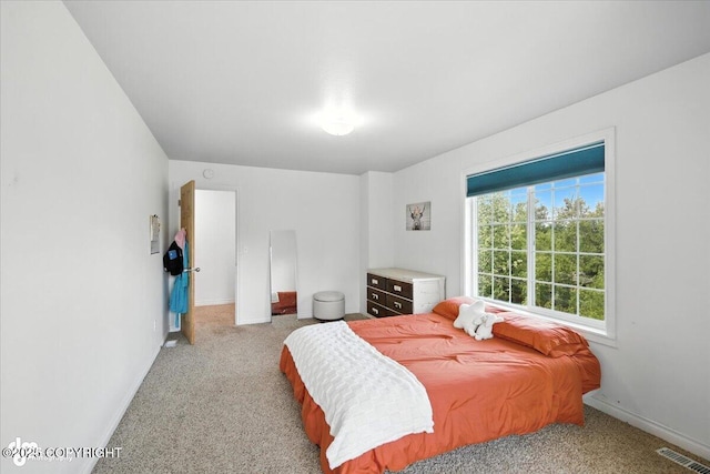 2436 N Hope Cir, Palmer, AK 99645 - bedroom featuring light carpet and baseboards