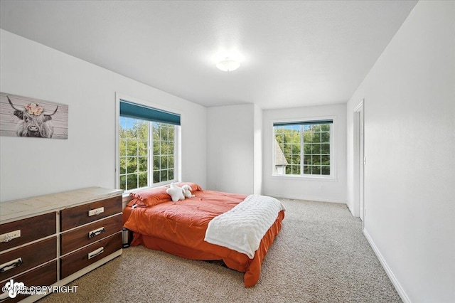 2436 N Hope Cir, Palmer, AK 99645 - bedroom with baseboards and light carpet