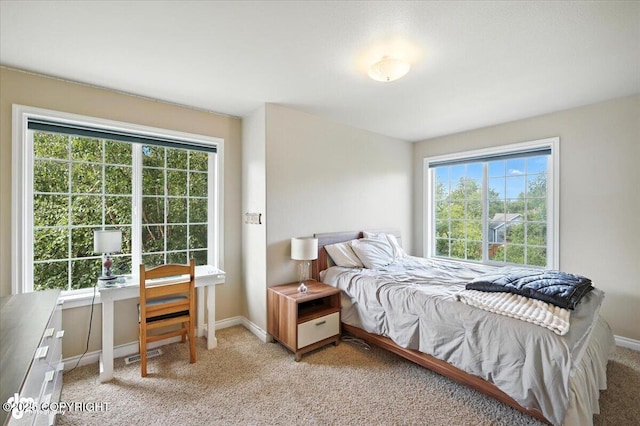 2436 N Hope Cir, Palmer, AK 99645 - bedroom with light carpet