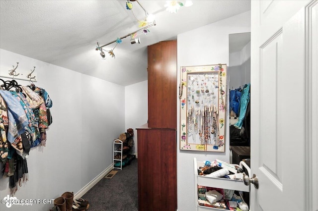 2436 N Hope Cir, Palmer, AK 99645 - spacious closet with carpet