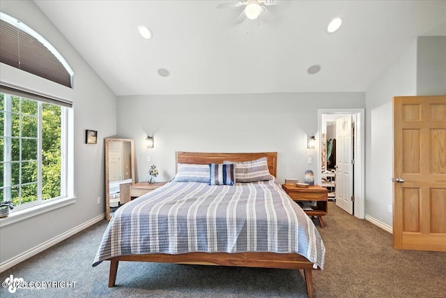 2436 N Hope Cir, Palmer, AK 99645 - carpeted bedroom with lofted ceiling, recessed lighting, and a walk in closet