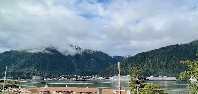 2703 David St, Juneau, AK 99801 - view of mountain backdrop with a heavily wooded area