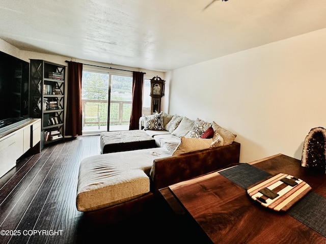 2703 David St, Juneau, AK 99801 - living area featuring wood-type flooring