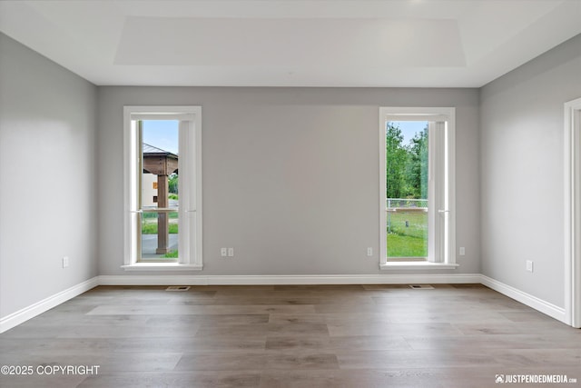 3827 E Country Field Cir, Wasilla, AK 99654 - unfurnished room with a tray ceiling, wood finished floors, and healthy amount of natural light
