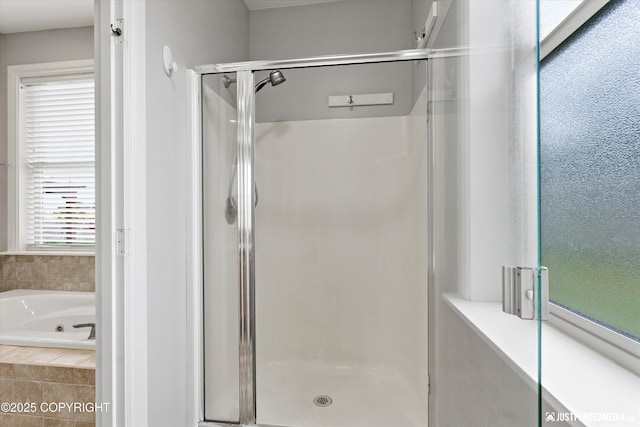 3827 E Country Field Cir, Wasilla, AK 99654 - full bath featuring a shower stall and a whirlpool tub
