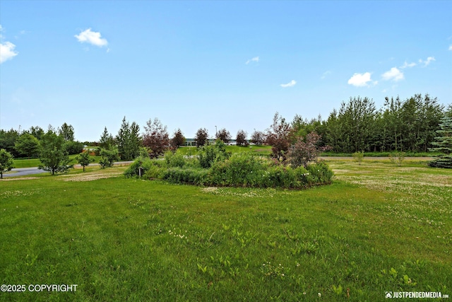 3827 E Country Field Cir, Wasilla, AK 99654 - view of green lawn