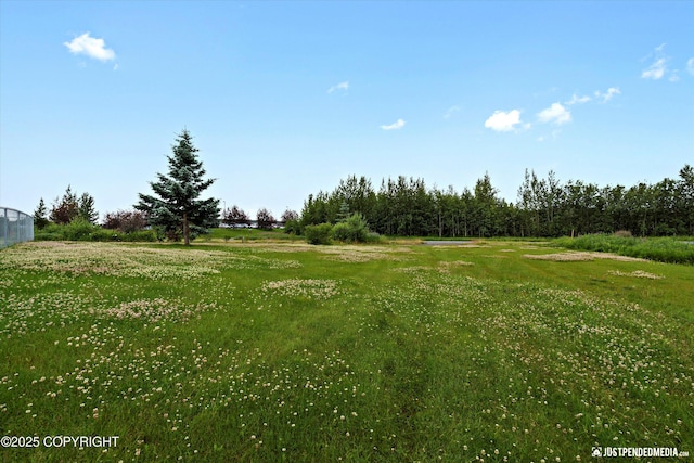 3827 E Country Field Cir, Wasilla, AK 99654 - view of yard