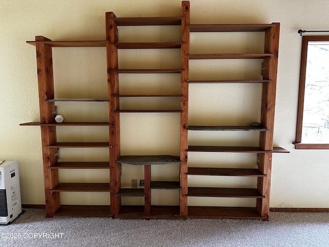 9238 Emily Way, Juneau, AK 99801 - view of closet