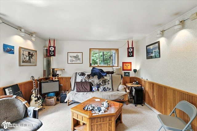 63735 Caribou Ln, Hope, AK 99605 - living room with wood walls, a wainscoted wall, light colored carpet, and rail lighting