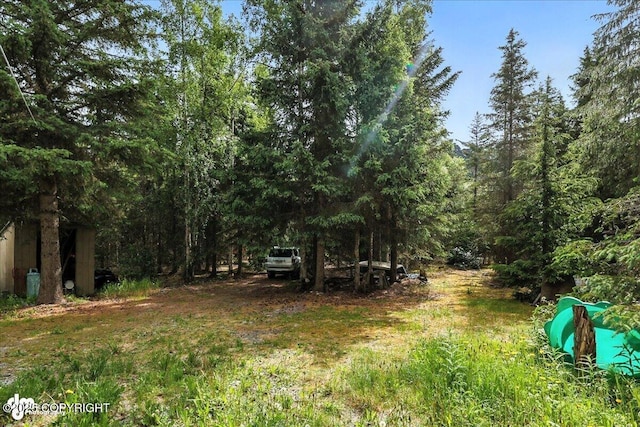 63735 Caribou Ln, Hope, AK 99605 - view of yard