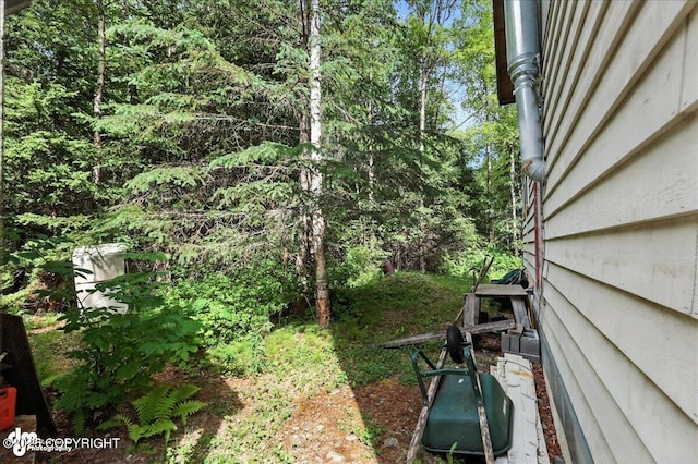 63735 Caribou Ln, Hope, AK 99605 - view of yard with a forest view