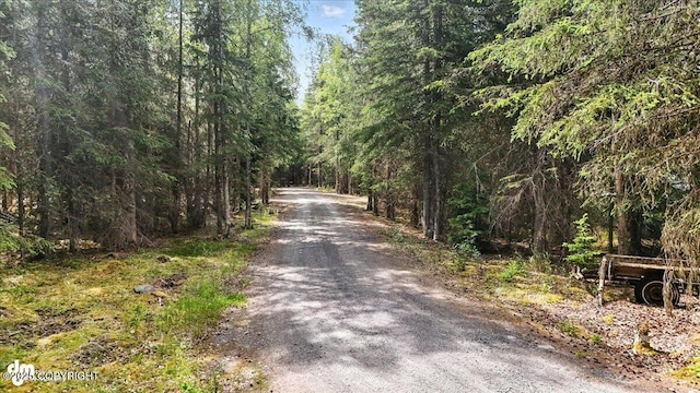63735 Caribou Ln, Hope, AK 99605 - view of dirt / gravel road with a view of trees