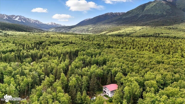 63735 Caribou Ln, Hope, AK 99605 - view of mountain background with a heavily wooded area