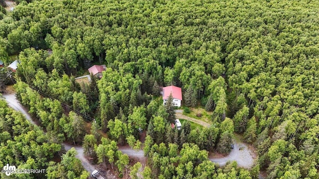63735 Caribou Ln, Hope, AK 99605 - aerial view of property and surrounding area with a heavily wooded area