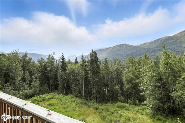 27628 Paramount Dr, Eagle River, AK 99577 - photo 52