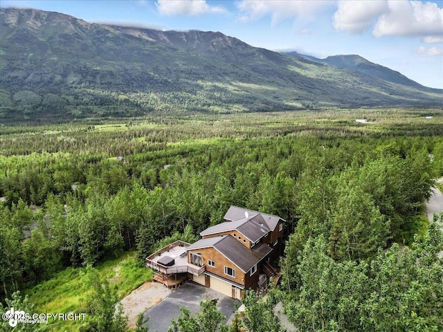 27628 Paramount Dr, Eagle River, AK 99577 - photo 53
