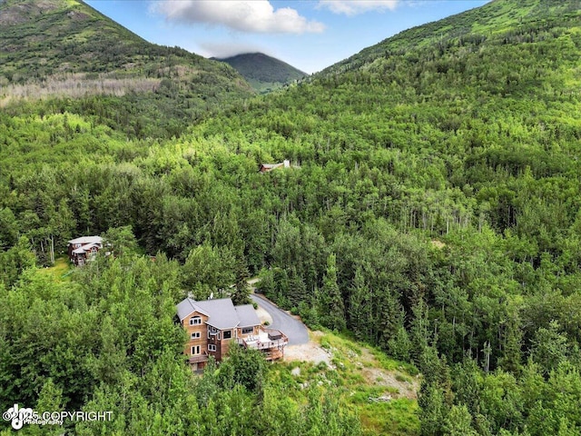 27628 Paramount Dr, Eagle River, AK 99577 - photo 55