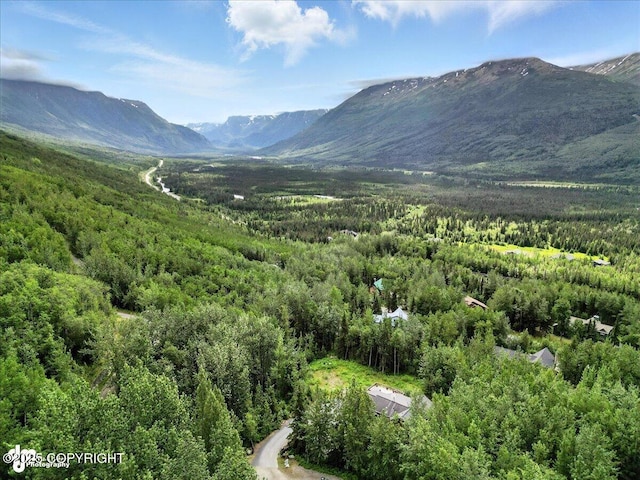 27628 Paramount Dr, Eagle River, AK 99577 - photo 57