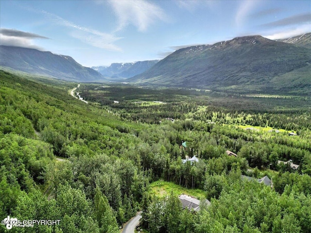 27628 Paramount Dr, Eagle River, AK 99577 - photo 58