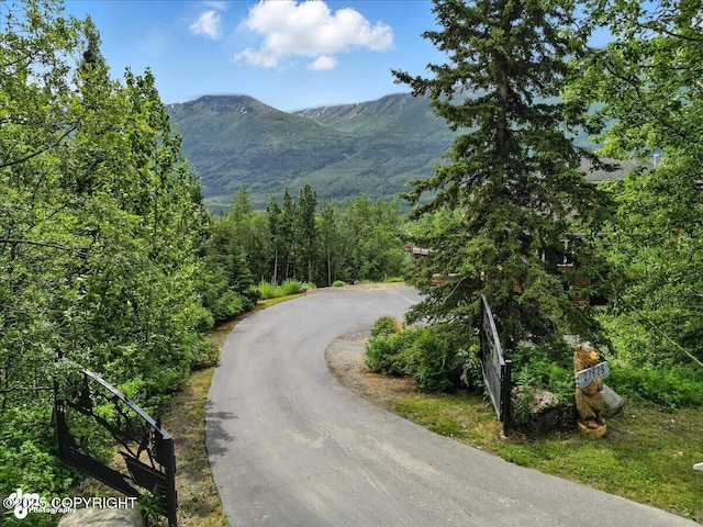 27628 Paramount Dr, Eagle River, AK 99577 - photo 51
